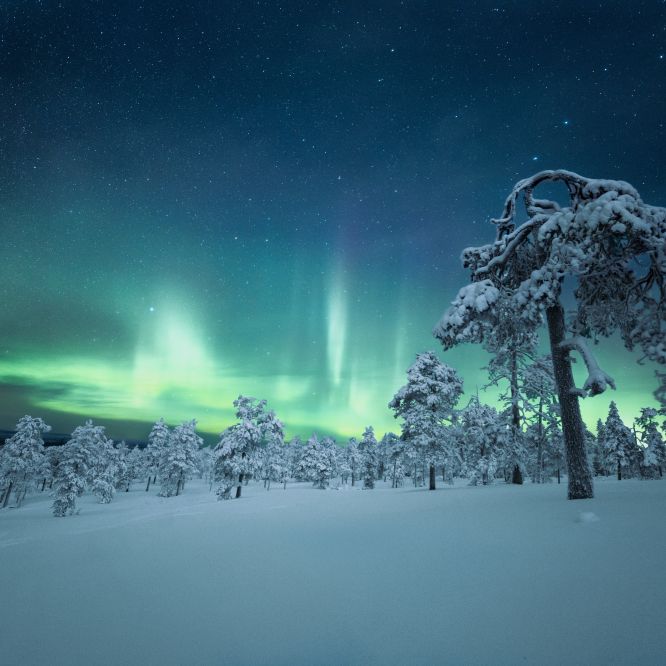 Visit Lapland & Northern Lights